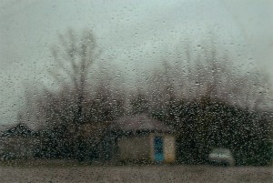 Wind, Rain, Glass (photo by Abbas Kiarostami, 2007)